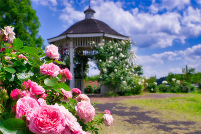 最上川ふるさと総合公園