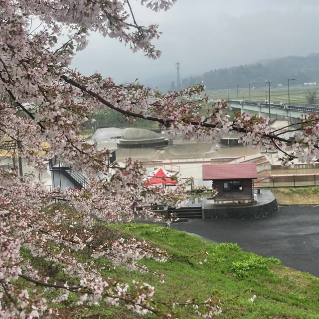 最上川の水質調査研究｜環境への取り組み｜国立大学56工学系学部HP
